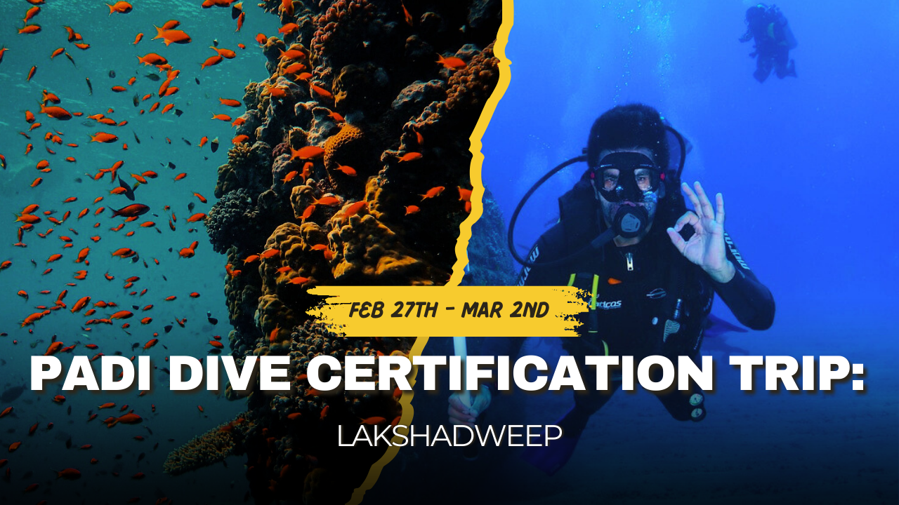 Dive with PADI in Lakshadweep