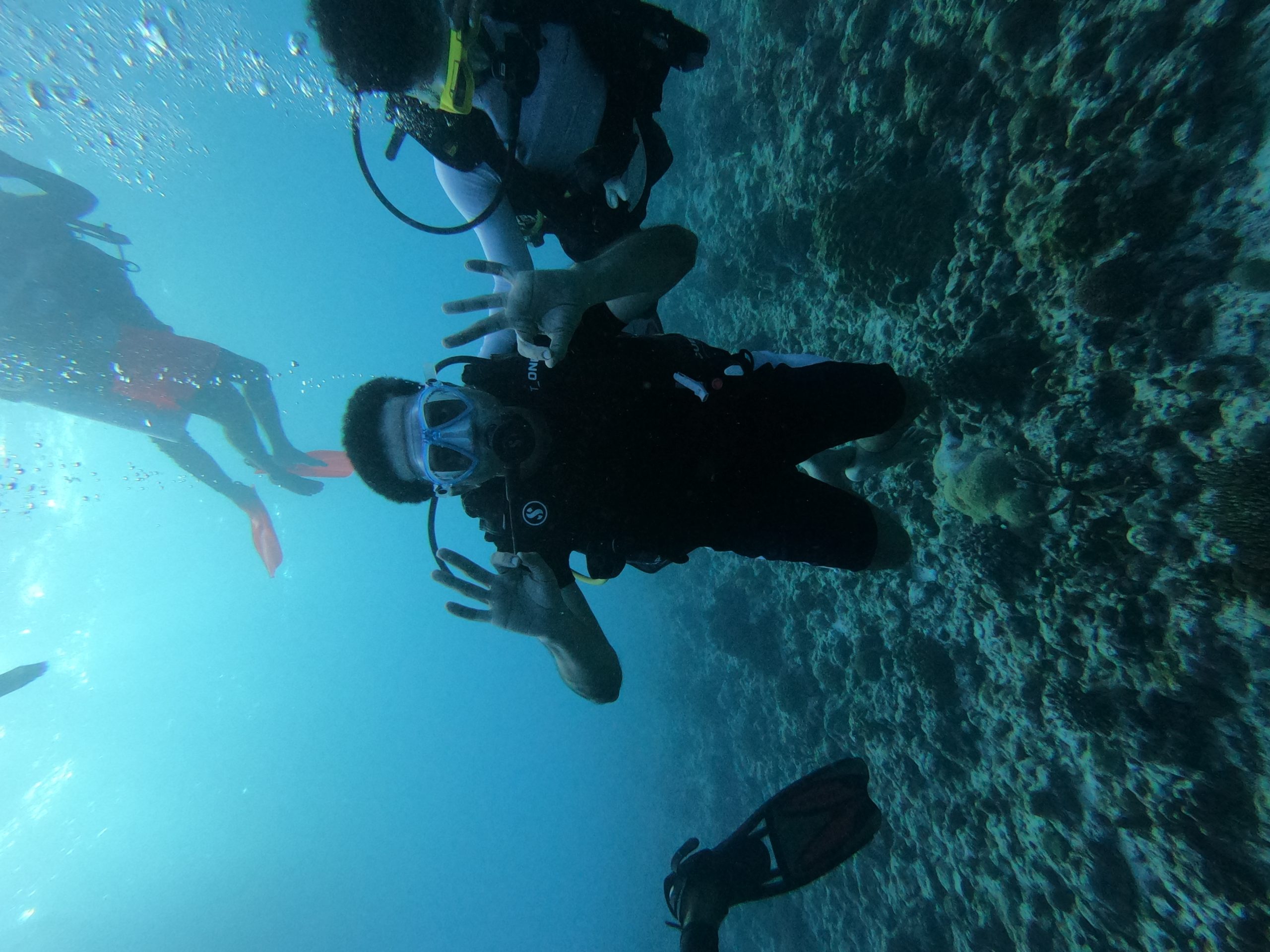 PADI certification